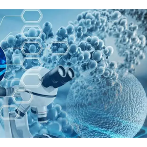 紅色擔(dān)體（如6201紅色擔(dān)體，201紅色擔(dān)體）