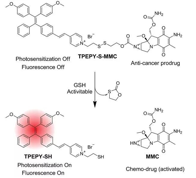 TPEPY-S-MMC的化學結(jié)構(gòu)，以及藥物和光動力學機理