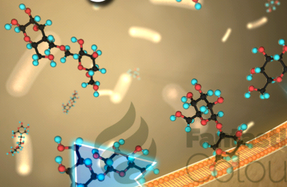 綠色熒光FITC標(biāo)記甘草酸 Glycyrrhizic Acid， FITC-甘草酸