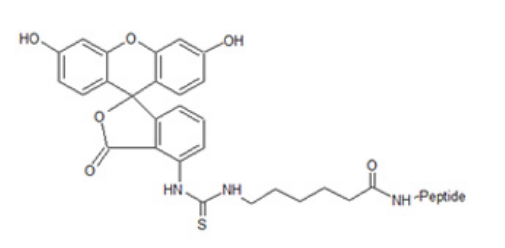 多肽的熒光標(biāo)記