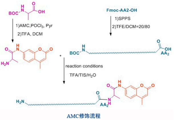 熒光物質(zhì)的激發(fā)光波長 熒光物質(zhì)的激發(fā)光波長