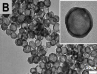 中空金納米殼 中空金納米殼