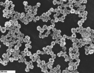 檸檬酸鈉修飾的金納米籠 檸檬酸鈉修飾的金納米籠