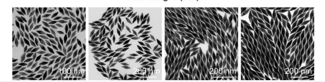 金納米雙錐 金納米雙錐