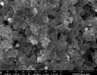 銀納米三角片銀納米片 銀納米三角片銀納米片