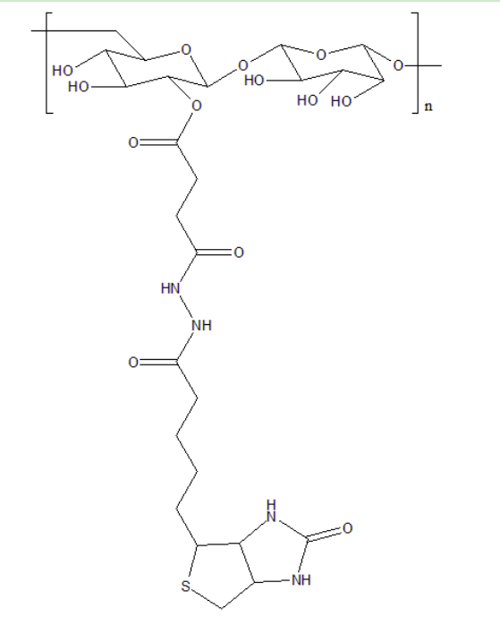 葡聚糖-生物素 葡聚糖-生物素