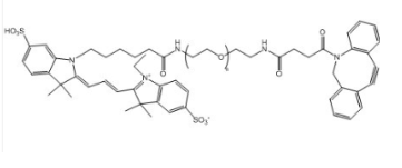 CY3-PEG-DBCO CY3-PEG-DBCO