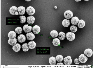 磁珠 氧化鐵納米球(Fe3O4) 磁珠 氧化鐵納米球(Fe3O4)