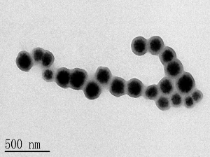 磁性聚苯乙烯微球 磁性聚苯乙烯微球