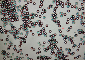 藍(lán)色熒光微球 藍(lán)色熒光微球