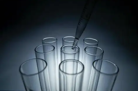 HayeSep 多孔聚合物色譜擔(dān)體 HayeSep R