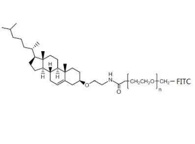 Cholesterol-PEG-FITC 膽固醇-聚乙二醇-熒光素 熒光標(biāo)記自組裝PEG脂質(zhì)體