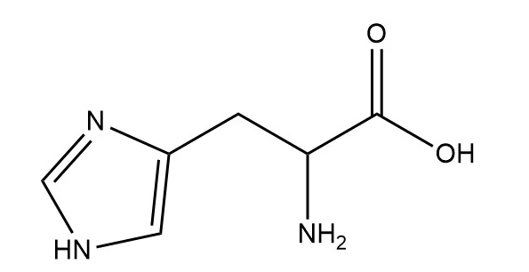 葡聚糖-組氨酸 葡聚糖-組氨酸