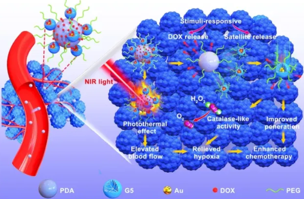 FA-TK-NH2；葉酸-TK-氨基