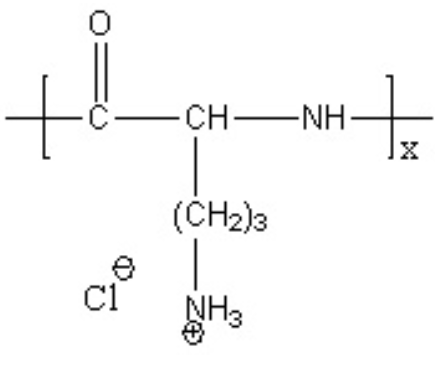 PLOC 聚L鳥(niǎo)氨酸鹽酸鹽 PLOC 聚L鳥(niǎo)氨酸鹽酸鹽
