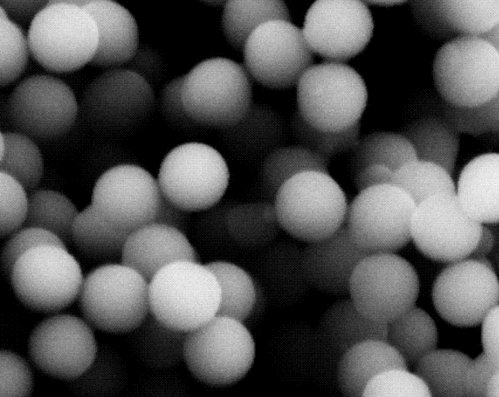 磁性氧化鐵納米球（300nm）