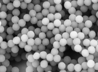 PEG化Fe3O4顆粒;PEG@USPIO；10nm