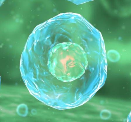 光敏藥物e6納米囊泡 光敏藥物e6納米囊泡