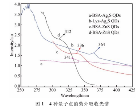 溶菌霉包裹Ag2S量子點 溶菌霉包裹Ag2S量子點