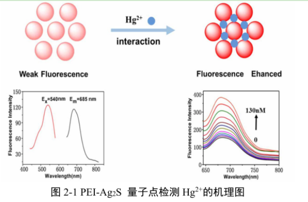 聚乙烯亞胺包覆硫化銀量子點(PEI-Ag2S) 聚乙烯亞胺包覆硫化銀量子點(PEI-Ag2S)