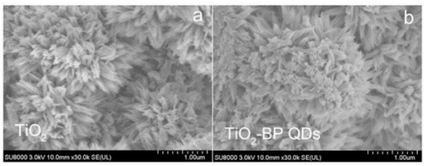 二氧化鈦/黑磷量子點(diǎn)復(fù)合材料 二氧化鈦/黑磷量子點(diǎn)復(fù)合材料