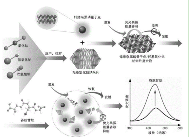 鋅摻雜黑磷量子點 鋅摻雜黑磷量子點