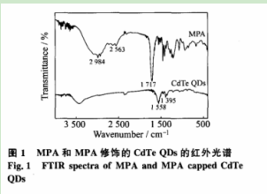 3-巰基丙酸修飾碲化鎘量子點(diǎn) 3-巰基丙酸修飾碲化鎘量子點(diǎn)