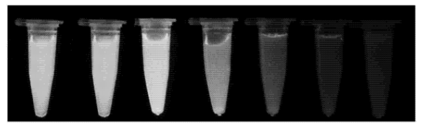L-半胱氨酸修飾CdTe/CdS量子點(diǎn) L-半胱氨酸修飾CdTe/CdS量子點(diǎn)