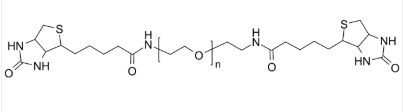 PEG-2Biotin  