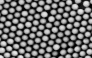 鏈霉親和素修飾熒光微球 鏈霉親和素修飾熒光微球