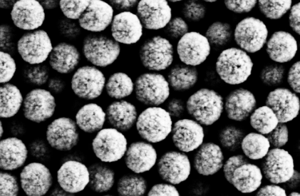 鏈霉親和素磁珠 310±20 nm 鏈霉親和素磁珠 310±20 nm