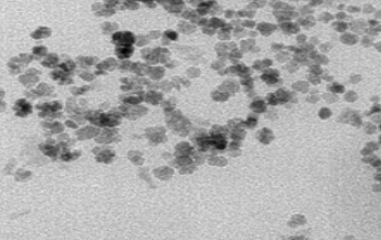 羧基化葡聚糖修飾四氧化三鐵納米顆粒 羧基化葡聚糖修飾四氧化三鐵納米顆粒