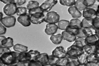 金納米籠 金納米籠