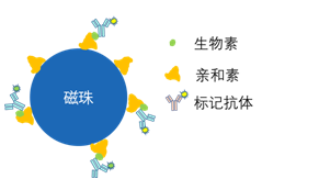 磁珠微球 磁珠微球