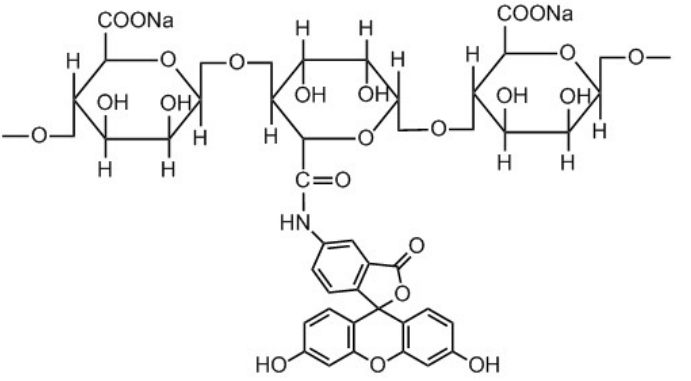 綠色熒光素標記海藻酸鈉 綠色熒光素標記海藻酸鈉