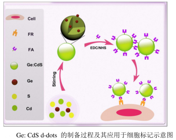 水溶性鍺摻雜硫化鎘量子點 水溶性鍺摻雜硫化鎘量子點