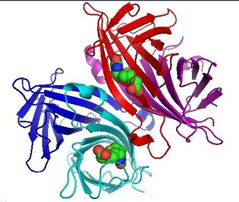 鏈霉親和素修飾CdSe/ZnS量子點(diǎn) 鏈霉親和素修飾CdSe/ZnS量子點(diǎn)
