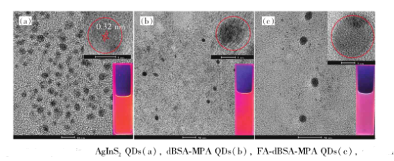 葉酸修飾AgInS量子點 葉酸修飾AgInS量子點