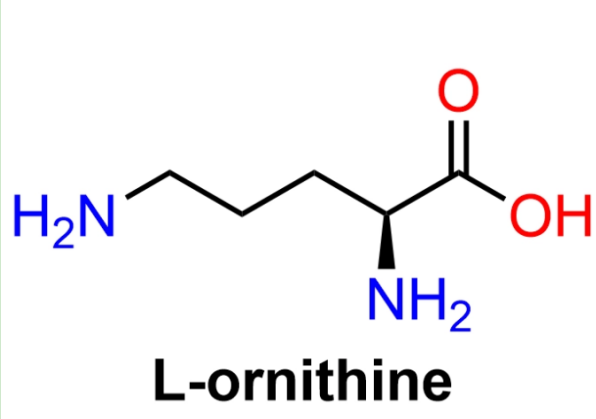葡聚糖-鳥氨酸 葡聚糖-鳥氨酸