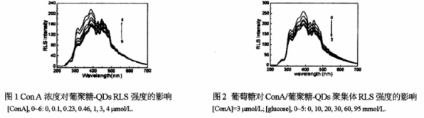 葡聚糖修飾CdSe量子點(diǎn) 葡聚糖修飾CdSe量子點(diǎn)