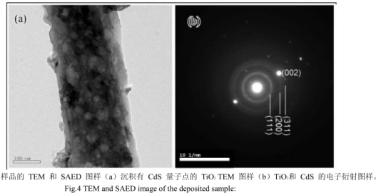 TiO2納米棒/CdS量子點(diǎn) TiO2納米棒/CdS量子點(diǎn)