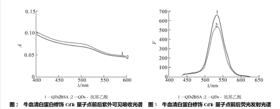 BSA/CdTeQDs BSA/CdTeQDs