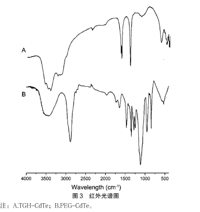:PEG修飾CdTe量子點 :PEG修飾CdTe量子點