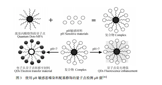 巰基丙酸修飾CdTe碲化鎘量子點(diǎn) 巰基丙酸修飾CdTe碲化鎘量子點(diǎn)
