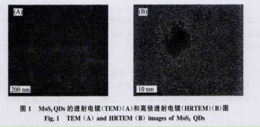 L-半胱氨酸功能化MoS2熒光量子點(diǎn) L-半胱氨酸功能化MoS2熒光量子點(diǎn)