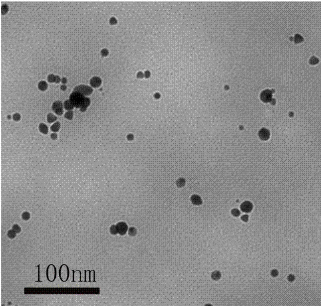 AuNPs@MoS2-QDs AuNPs@MoS2-QDs