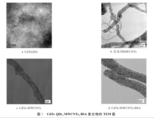 CdTeMWCNTsBSA復(fù)合物 CdTeMWCNTsBSA復(fù)合物