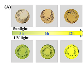 TP-COF與COF-TpMA具有光導(dǎo)性的COFs材料 TP-COF與COF-TpMA具有光導(dǎo)性的COFs材料