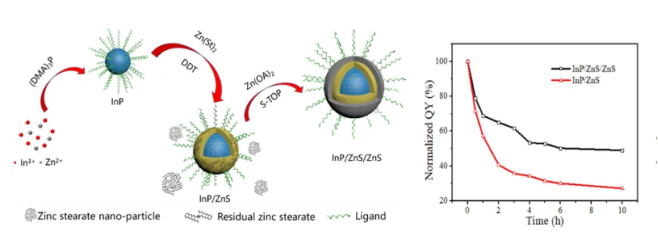 PEG-COOH修飾水溶性InP/ZnS量子點(diǎn)