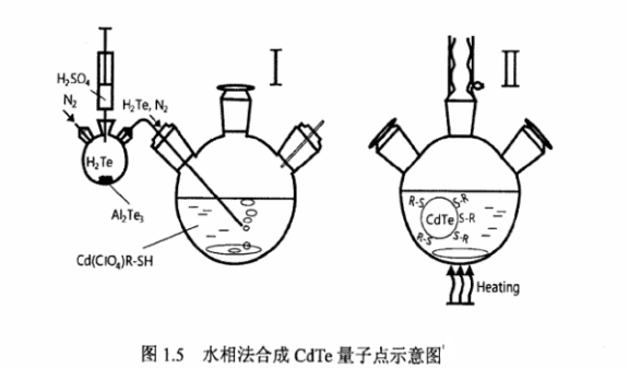 蛋白質(zhì)核糖核酸酶修飾碲化鋅ZnTe量子點 蛋白質(zhì)核糖核酸酶修飾碲化鋅ZnTe量子點